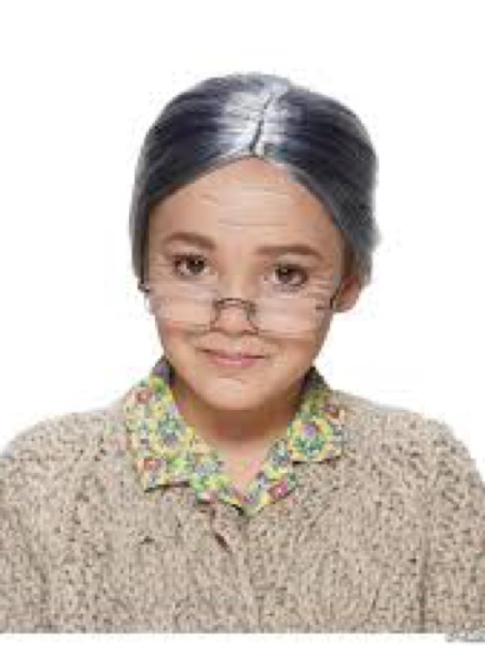 Kids Gray Wig with Glasses